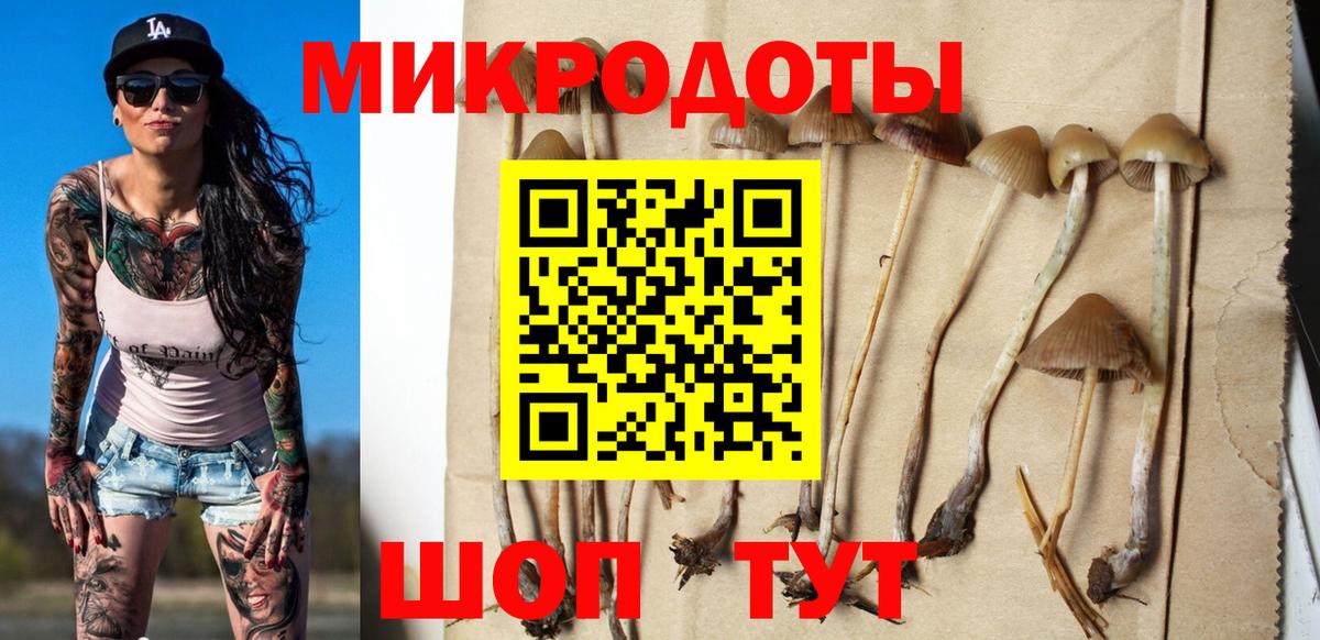 Псилоцибиновые грибы Magic Shrooms  Вход с VPN  Дубна  Псилоцибиновые грибы мухоморы 